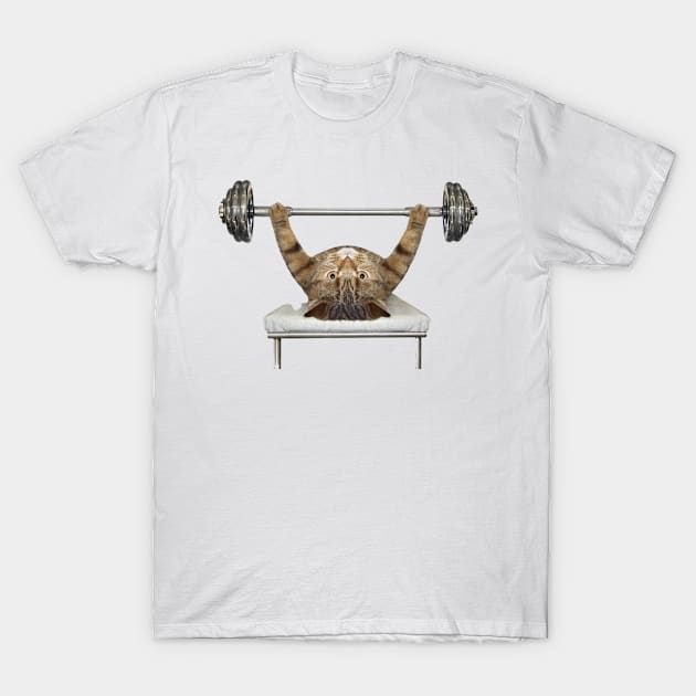 cat T-Shirt by coolstuff100